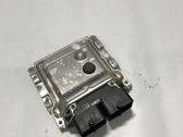 Engine control unit/module ECU