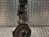 Front shock absorber with coil spring