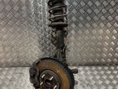 Front shock absorber with coil spring