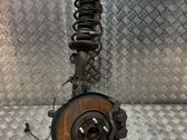 Front shock absorber with coil spring