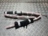 Roof airbag