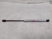 Tailgate/trunk strut/damper
