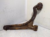 Front lower control arm/wishbone