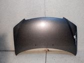Motorhaube