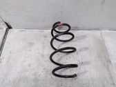 Front coil spring