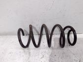 Front coil spring