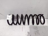 Rear coil spring