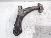 Front lower control arm/wishbone