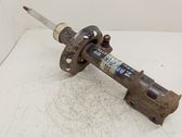 Front shock absorber/damper