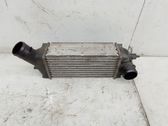 Radiatore intercooler