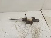 Front shock absorber/damper