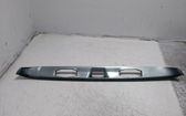 Trunk door license plate light bar