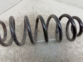 Rear coil spring