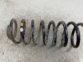 Muelle espiral trasero