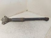 Rear shock absorber/damper