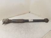 Rear shock absorber/damper