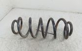 Front coil spring