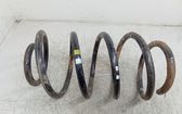 Front coil spring