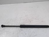 Tailgate/trunk strut/damper
