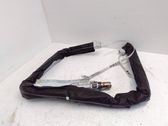 Roof airbag