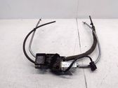 Rear door curtain motor