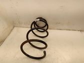 Front coil spring