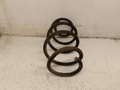 Front coil spring