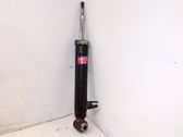 Rear shock absorber/damper