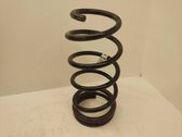 Rear coil spring