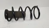 Front coil spring