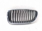 Maskownica / Grill / Atrapa górna chłodnicy