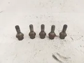 Nuts/bolts