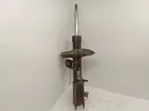 Front shock absorber/damper