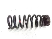 Rear coil spring