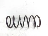 Front coil spring