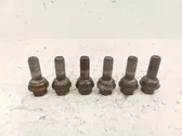 Nuts/bolts