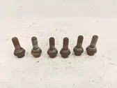 Nuts/bolts