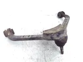 Front lower control arm/wishbone