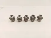 Nuts/bolts