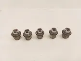 Nuts/bolts