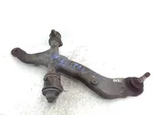 Front lower control arm/wishbone