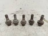 Nuts/bolts