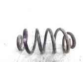 Rear coil spring