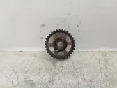 Fuel pump gear (pulley)