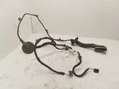 Rear door wiring loom