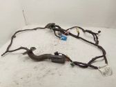 Front door wiring loom