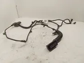 Rear door wiring loom