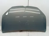 Engine bonnet/hood