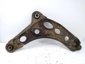 Front lower control arm/wishbone