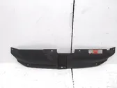 Engine bonnet/hood lock trim molding